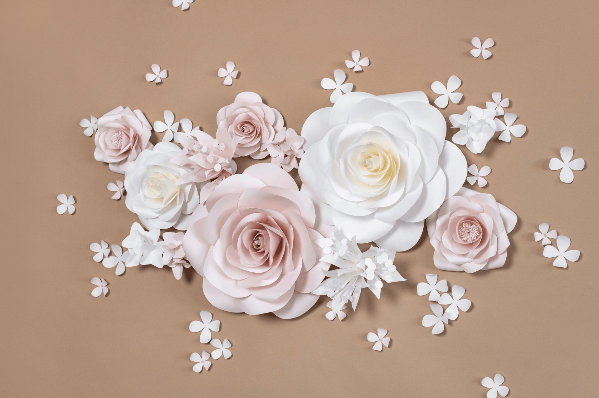 Wall Paper Flowers