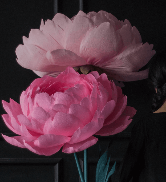 2 Paper Peonies – Big Paper Flowers