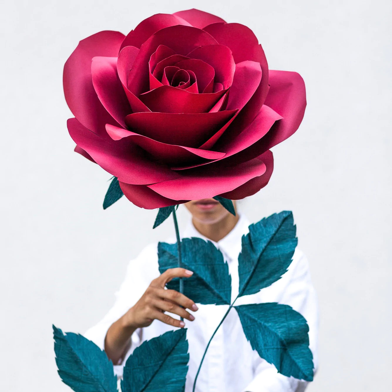 Oversized Paper Flower Gift