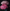 2 Paper Peonies – Big Paper Flowers