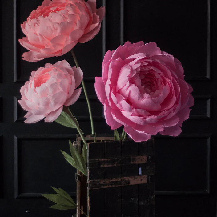 Set of 3 Oversized Paper Peonies
