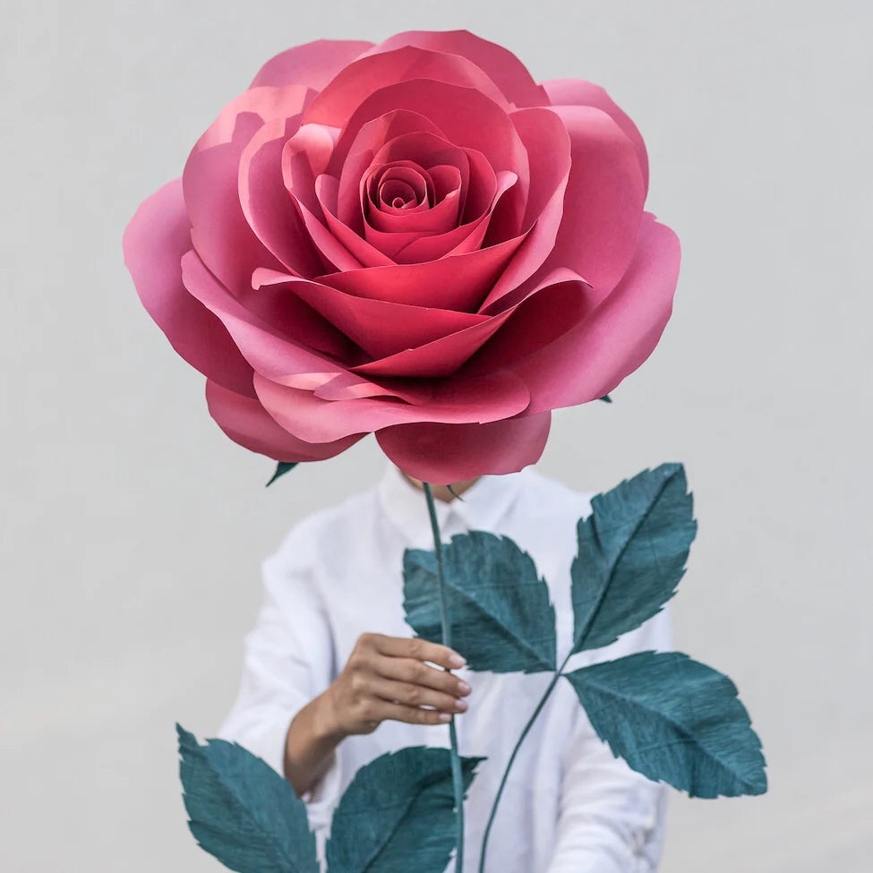 Flower for Love Story