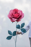 Flower for Love Story