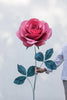 Flower for Love Story