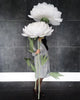 Extra Big Paper Blooms