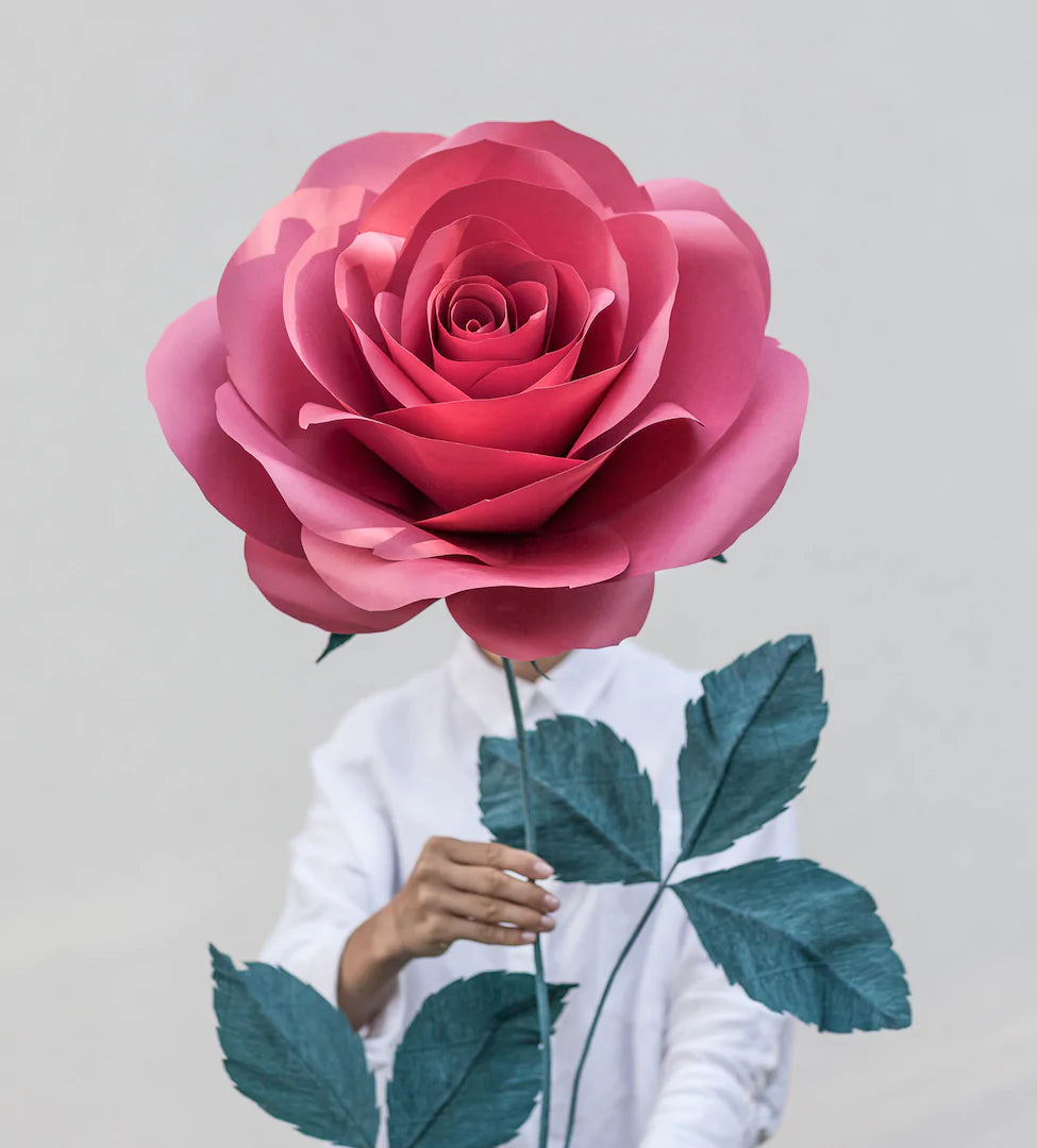 Flower for Love Story
