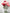 Standing Paper Roses and Peonies