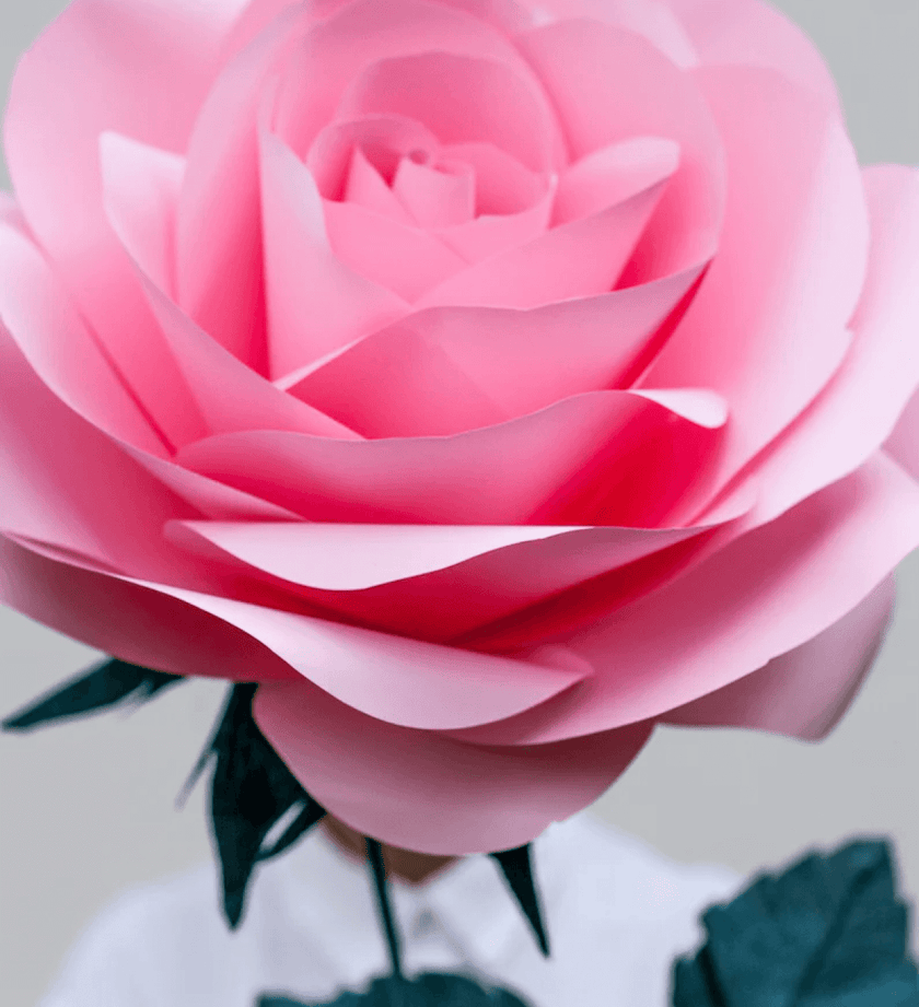 Standing Paper Roses and Peonies