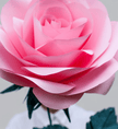 Dusty Rose Paper Flower