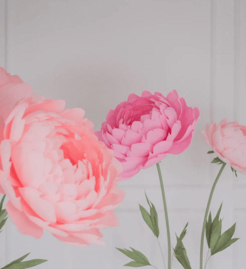 Paper Peonies (including Metal stand)