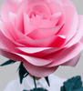 Bridal Single Flower Bouquet