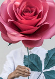 Flower for Love Story