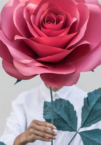 Flower for Love Story