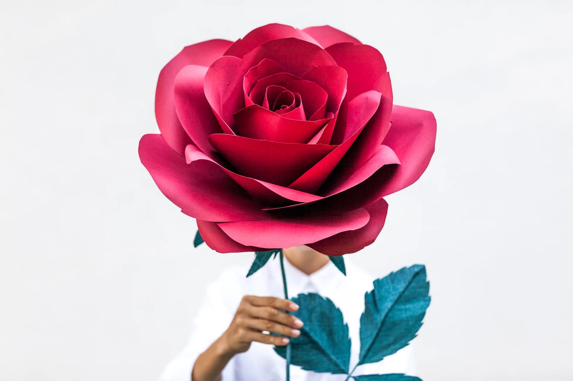 Oversized Paper Flower Gift