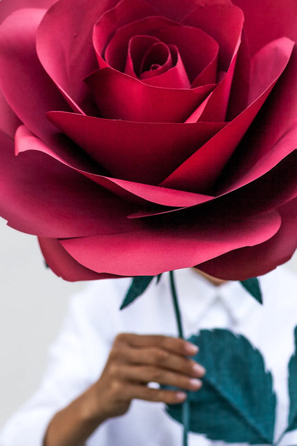 Oversized Paper Flower Gift