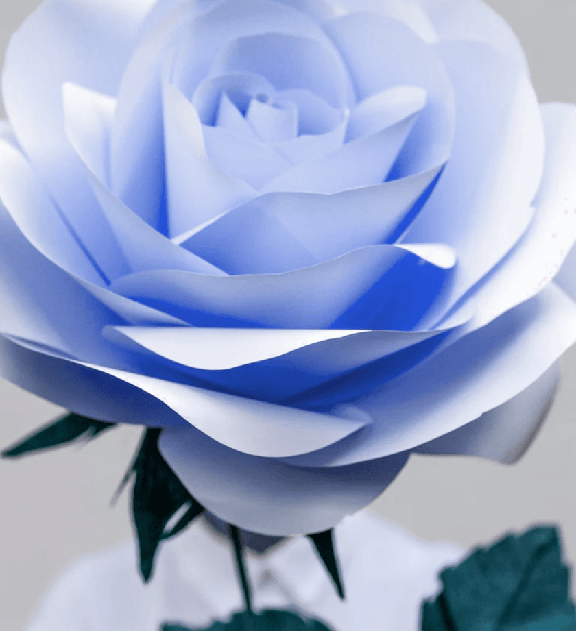 Baby Girl Birthday Gift - Paper Flower