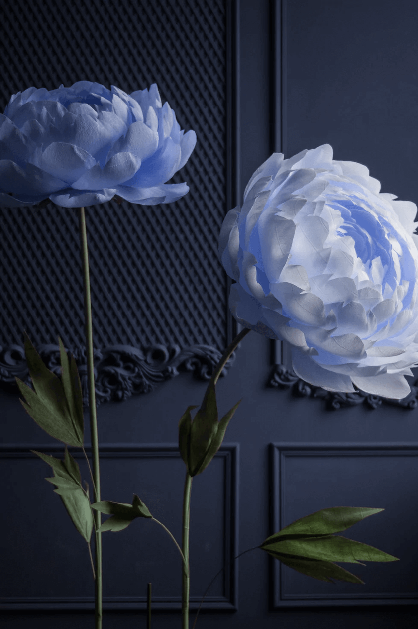 Standing on their own Paper Peonies – Giant Paper Flowers