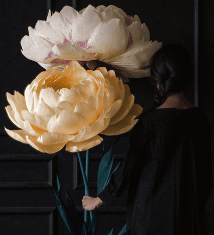 2 Paper Peonies – Big Paper Flowers