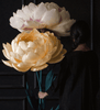 2 Paper Peonies – Big Paper Flowers