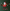 Santa on Sledge